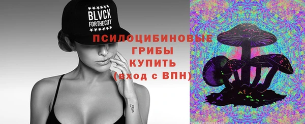 2c-b Алексин