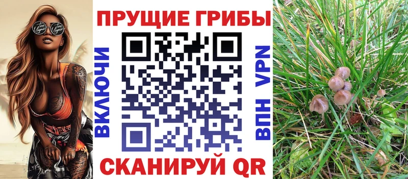 Псилоцибиновые грибы Magic Shrooms Сосновка